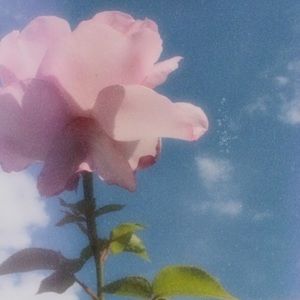 Meet your Posher, Alison